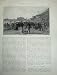 1886 RABBIT COURSING MELBOURNE AUSTRALIA CRICKET SPORT
