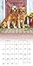 Golden Retrievers 2017 Calendar: Includes Downloadable Wallpaper