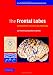 The Frontal Lobes: Development, Function and Pathology (Series for the International Neuropsychological Society)