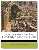 Insects Affecting The Blackberry And Raspberry