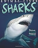 Sharks