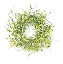 Melrose International 20-Inch Diameter Spring Greenery Wreath