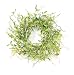 Melrose International 20-Inch Diameter Spring Greenery Wreath