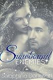 Snow Bound Enemies (BBW Contemporary Romance)