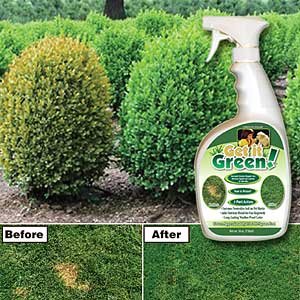 Get It Green