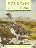 Mountain reflections