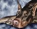 Doberman Dog Art Print Signed by Artist DJ Rogers
