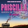 The Original Broadway Cast Recording