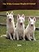 The White German Shepherd Annual - 2004 (Volume 11)