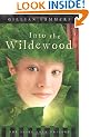 Into the Wildewood (Faire Folk, Book 2)