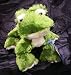Ganz Webkinz Adopt-a-pet Plush Lil' Kinz Frog