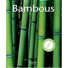 Bambous