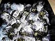 Lindt Truffles 60% Extra Dark Chocolate, 60 Count Box