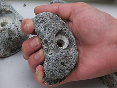 20 KIDS BOLT ON ROCK CLIMBING HOLDS. With Hardware