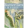 Butterflies (Collins New Naturalist Library)