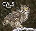 Owls 2016