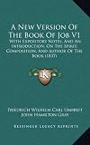 A New Version Of The Book Of Job V1: With Expository Notes, And An Introduction, On The Spirit, Composition, And Author Of The Book (1837)