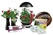 Outdoor Living : AeroGarden Florist In A Box Elite, Black with Stainless Accents