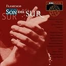 Flamenco: Son Del Sur