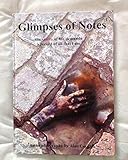 Glimpses of notes : an autobiography