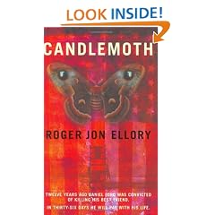 Candlemoth