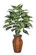 Artificial Dieffenbachia Floor Plant Rattan