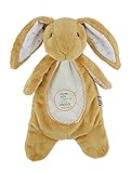 Guess How Much I Love You Nut-brown Hare Buddy Blanket Plush [並行輸入品]