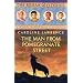 The Man from Pomegranate Street: Roman Mystery 17 (The Roman Mysteries)