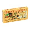 Burt's Bees Head To Toe Kit