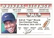 Tiger Woods Fake Drivers License