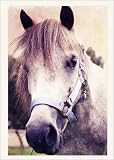 photographie Hello Lulu est disperible en (L x H): 30 x 40 cm de AD DESIGN
