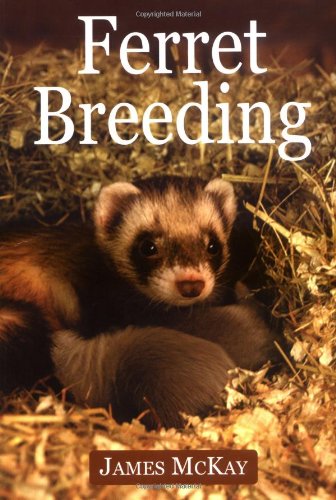 Ferret Breeding