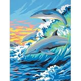 Eigenschaften Dimensions / Dolphin Splash Delfine Malen nach Zahlen
