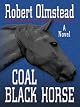 Coal Black Horse