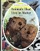 Search : Animals That Live in Water (Animals Up Close)
