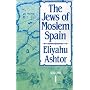 The Jews of Moslem Spain: Volume 1