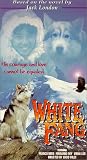 Review Falcon Home Video  / White Fang