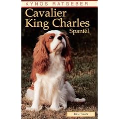 Cavalier King Charles Spaniel