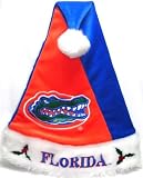 Florida Gators Colorblock Santa Hat