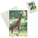Photo Jigsaw Puzzle of Giraffe, Giraffa from Danita Delimont