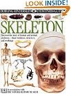 Skeleton (Eyewitness Guides)