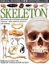 Skeleton (Eyewitness Books)
