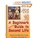 A Beginner's Guide to Second Life version 1.1