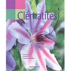 Main verte : Cl�matites