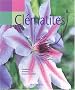 Main verte : Cl�matites