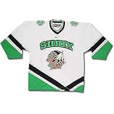 Nike - North Dakota Fighting Sioux Nike Youth White Replica Hockey Jersey