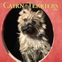Cairn Terriers 2004 Calendar