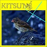 Kitsune X