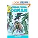 The Savage Sword of Conan Volume 4: v. 4 (Conan (Graphic Novels))