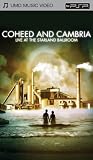 Coheed and Cambria: Live at the Starland Ballroom ( UMD Mini For PSP ) - B000B8QFHI